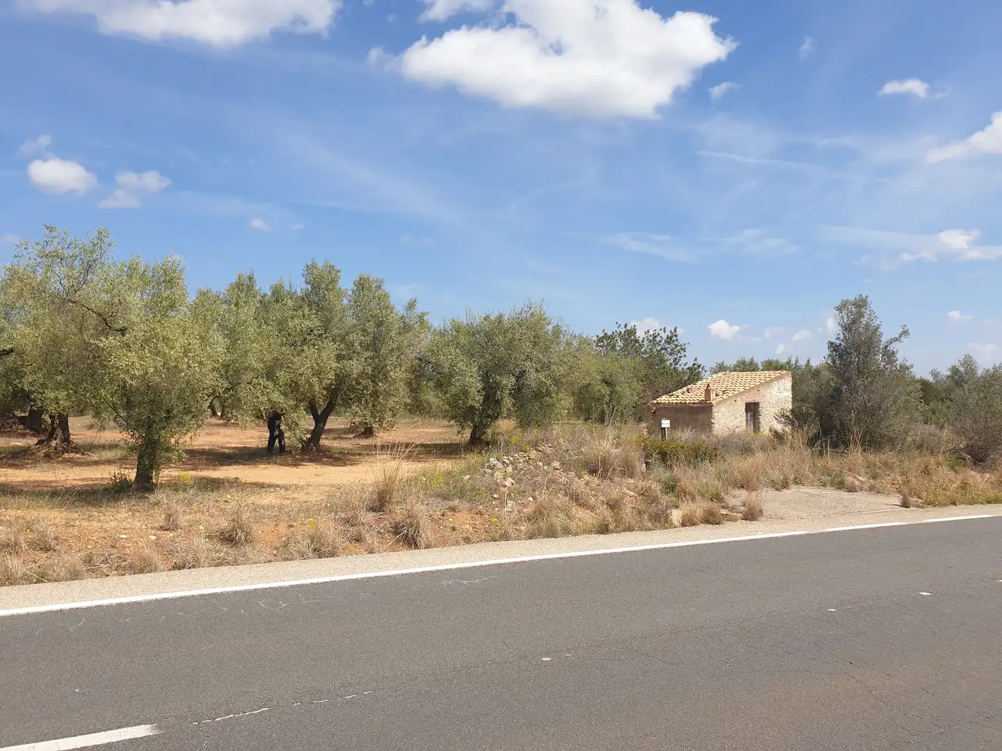 Rural land for sale in Carrer València