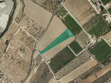 Terreno rustico in vendita a Pta del Tolomo
