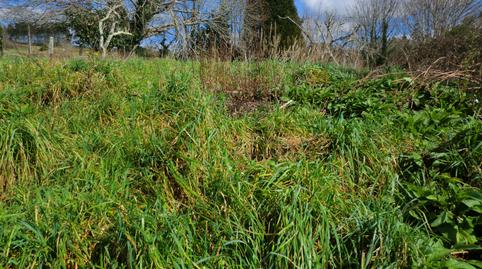 Photo 4 of House or chalet for sale in Covas, 14, Negreira, A Coruña