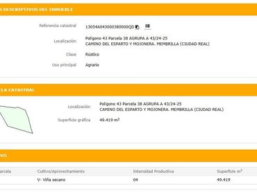 Terreny rústic en venda a Membrilla