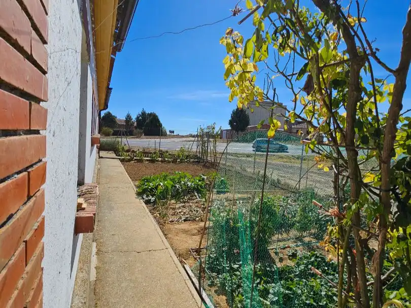 Garten von Geschaftsraum zum Verkauf in Osorno la Mayor mit Terrasse