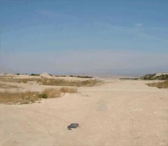 Residential land for sale in La Muela, imagen 4
