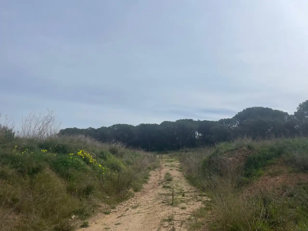 Terreny rústic en venda a Camí de la Portalada, imagen 4