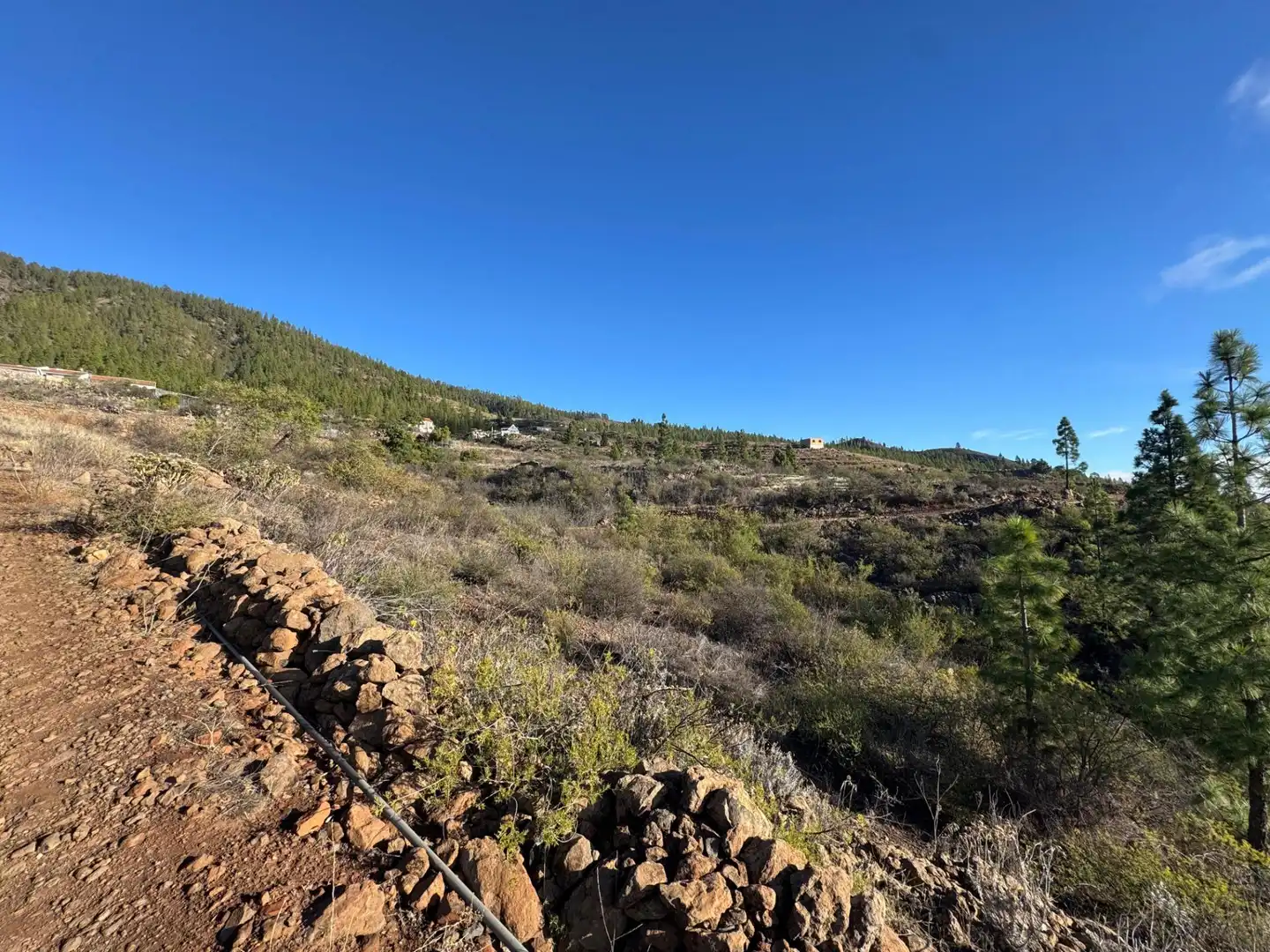 Finca rústica en venta en Granadilla de Abona