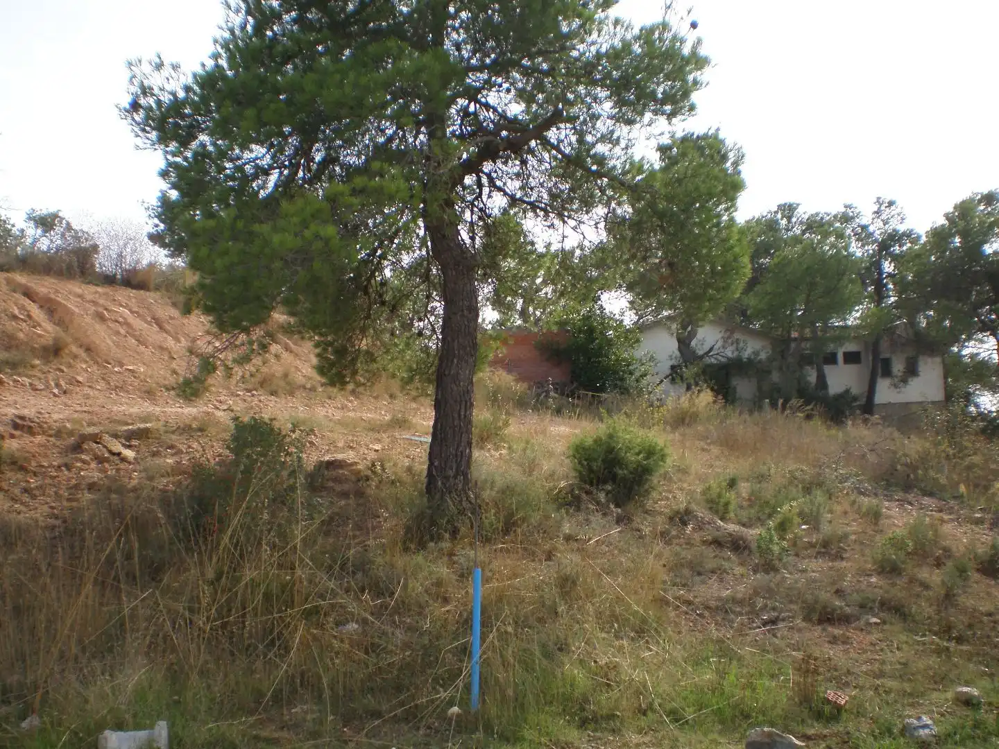 Residential land for sale in Carrer Hostalets 131M, imagen 3