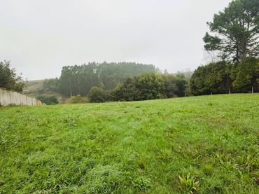 Terreni e lotti in vendita a Carreño