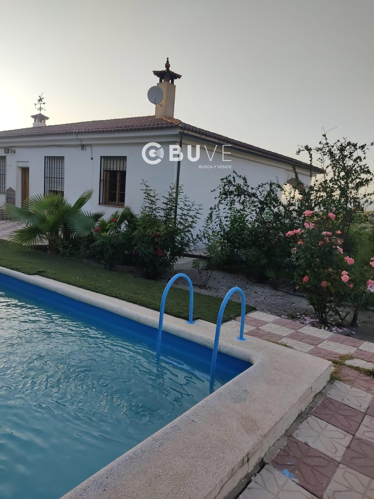 Piscina de Casa o xalet en venda en Rute amb Terrassa, Traster i Piscina