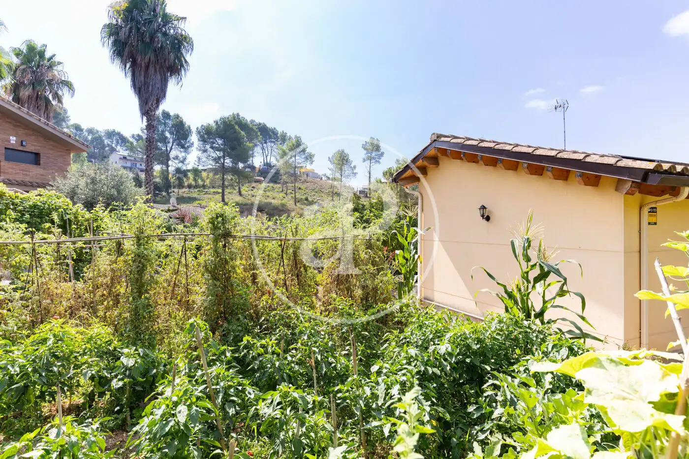 Houses for sale in Sant Muç