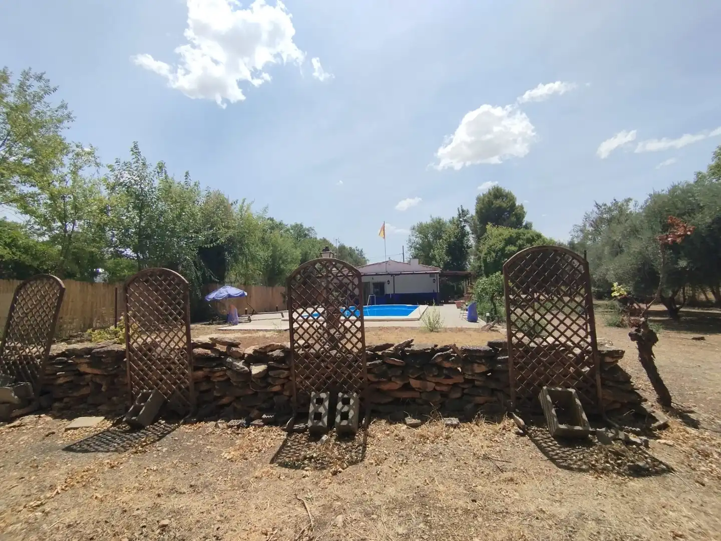 Piscina de Finca rústica en venda en Argamasilla de Alba amb Jardí privat, Piscina i Moblat