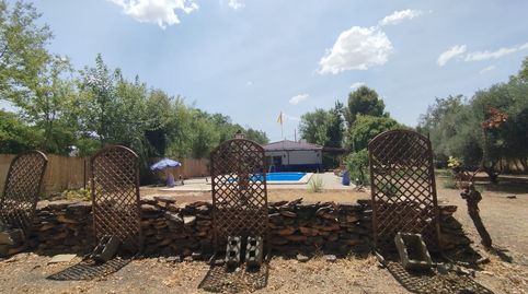 CHALET CON PISCINA A POCOS MINUTOS DE TOMELLOSO Y ARGAMASILLA DE ALBA, imatge 2