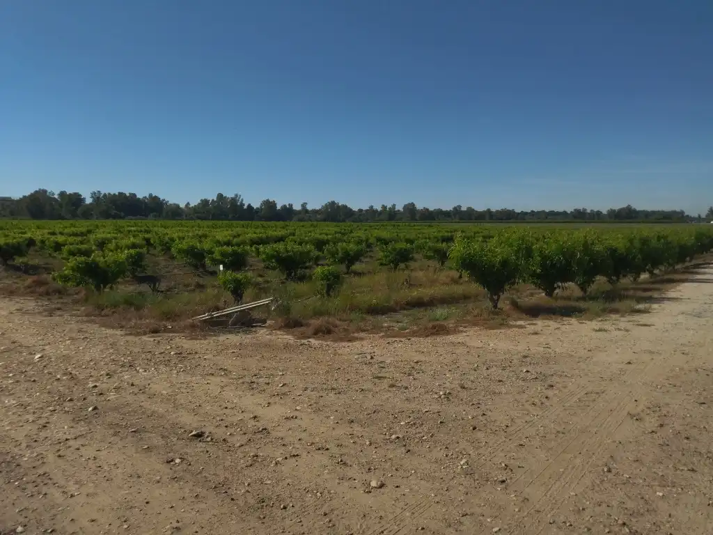 Terreno en venta en Campo Lugar