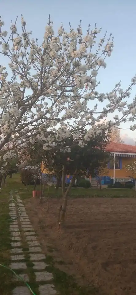 Exterior view of Houses for sale in Coria