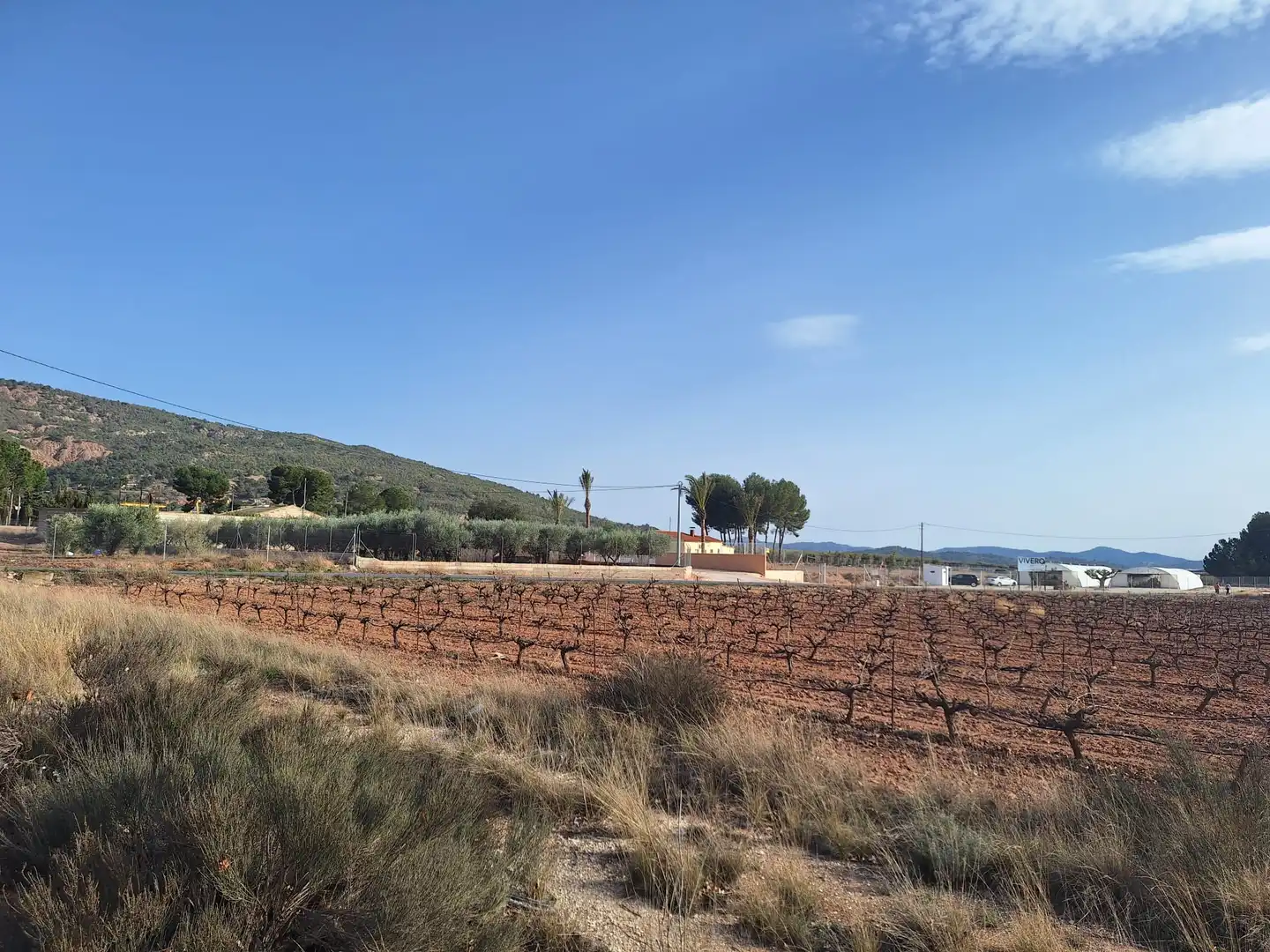 Residential land for sale in El Pinós / Pinoso, imagen 5