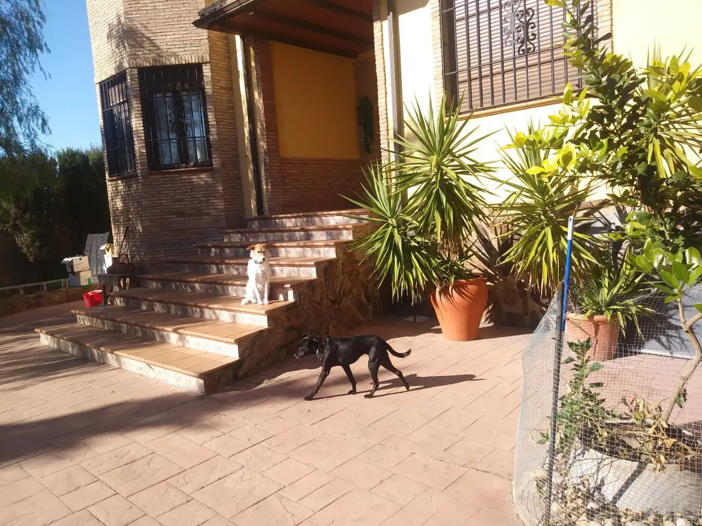 Vista exterior de Casa o xalet en venda en Linares amb Aire condicionat, Calefacció i Jardí privat