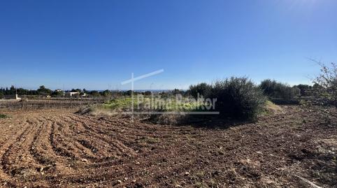 Photo 4 of Residential for sale in Son Servera Poble, Illes Balears