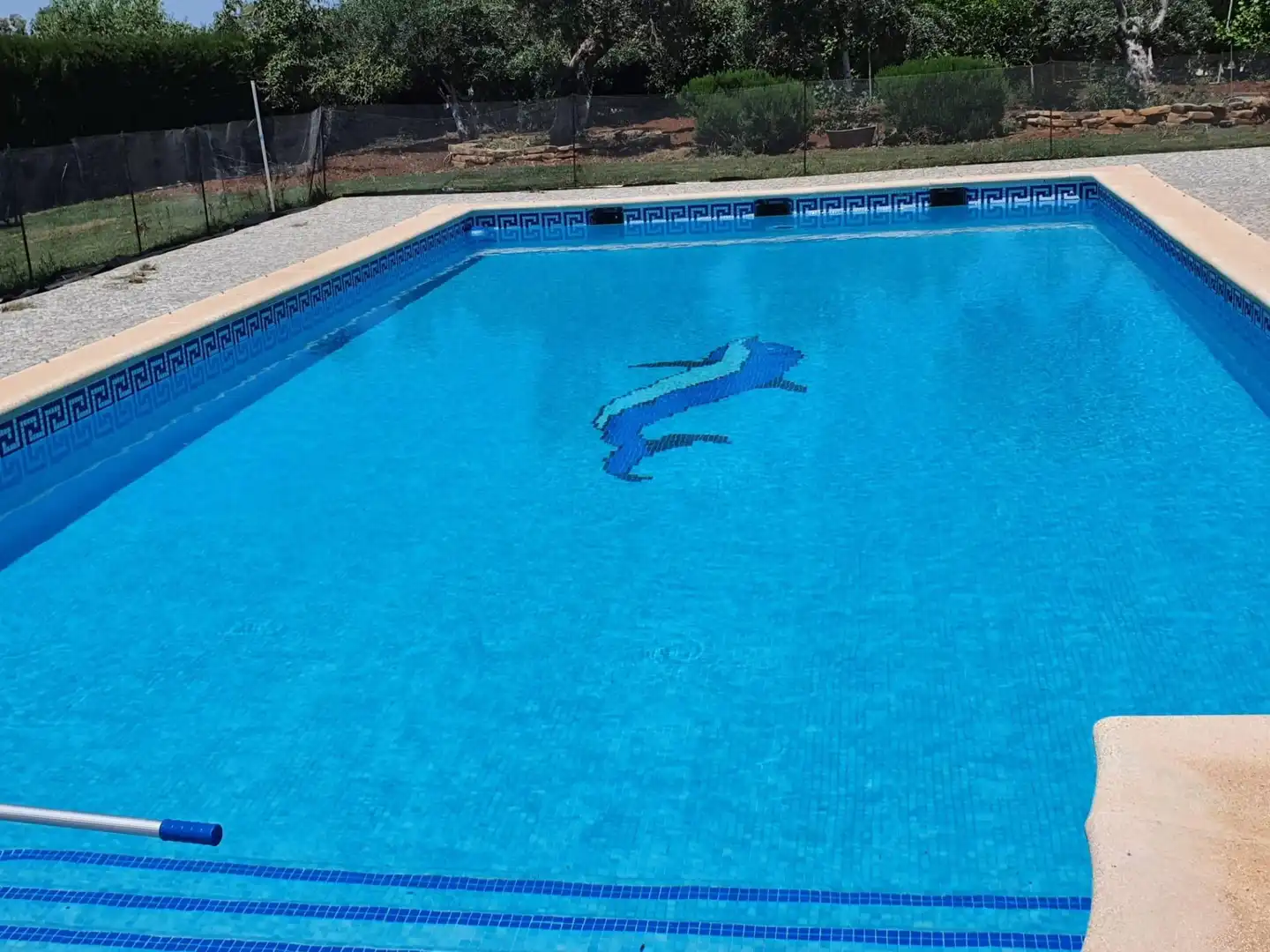 Maison avec piscine à vendre à El Coronil, imagen 14