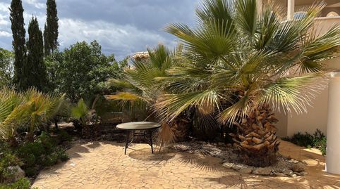 Foto 4 de Casa o chalet de alquiler en Chapitel, 5, Montnegre, Alicante / Alacant