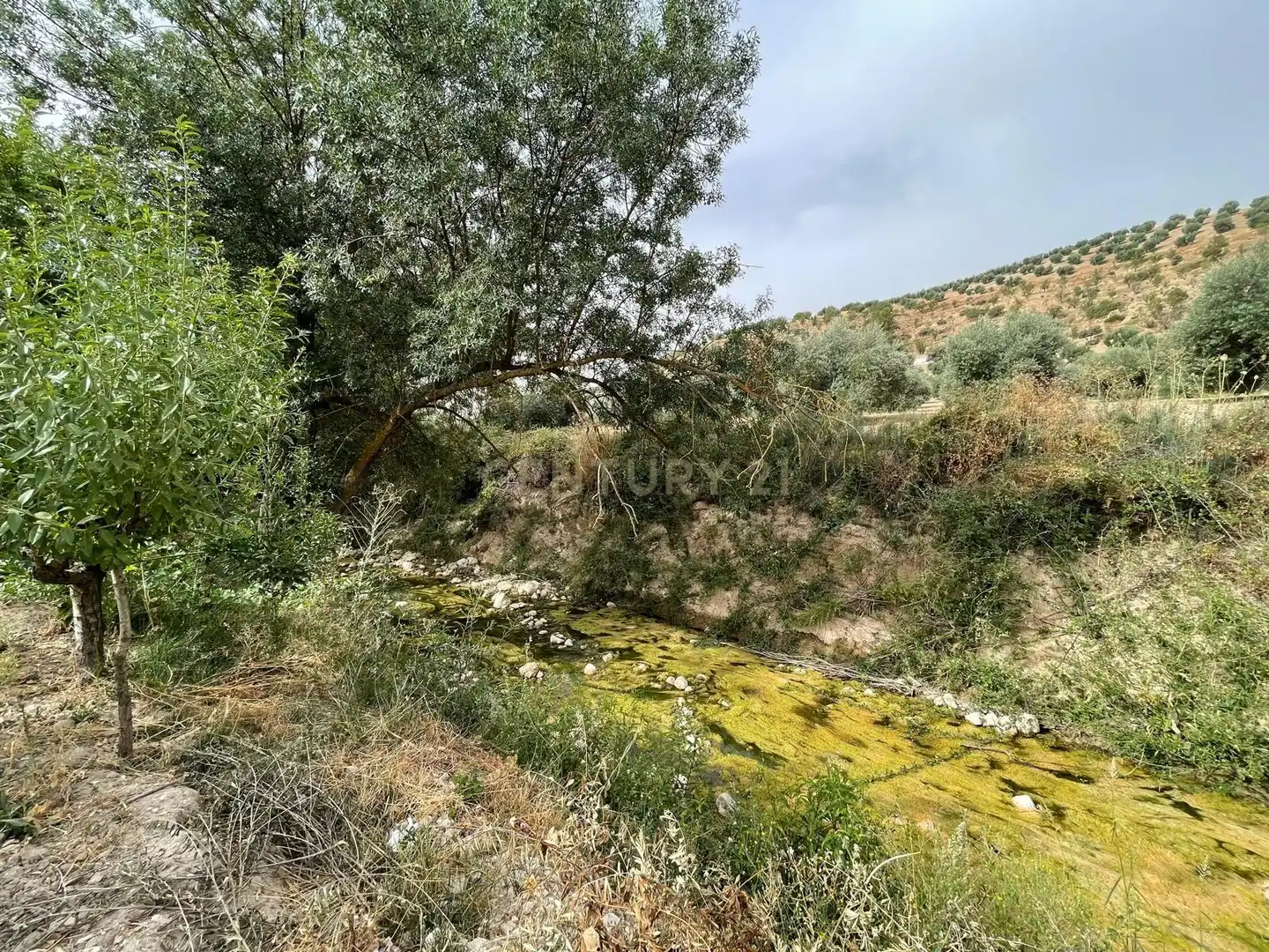 Rustikales Grundstück zum Verkauf in 18260 Íllora, Spain, imagen 18