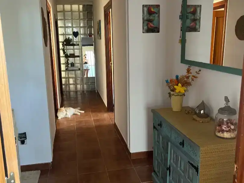 Casa o xalet en venda en Cogolludo amb Jardí privat i Traster