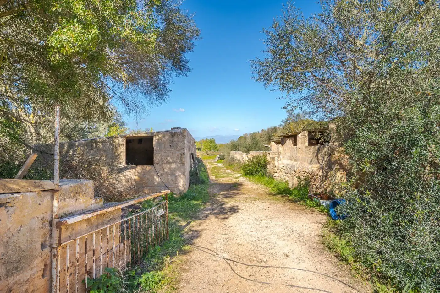 Country house with garden for sale in Llucmajor pueblo, imagen 12
