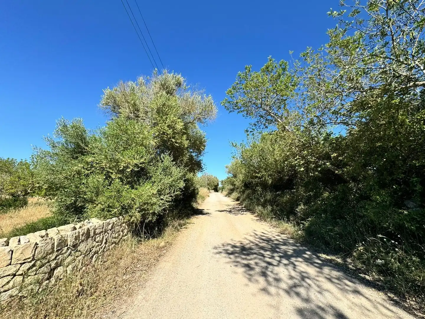 Außenansicht von Grundstücke zum Verkauf in Algaida