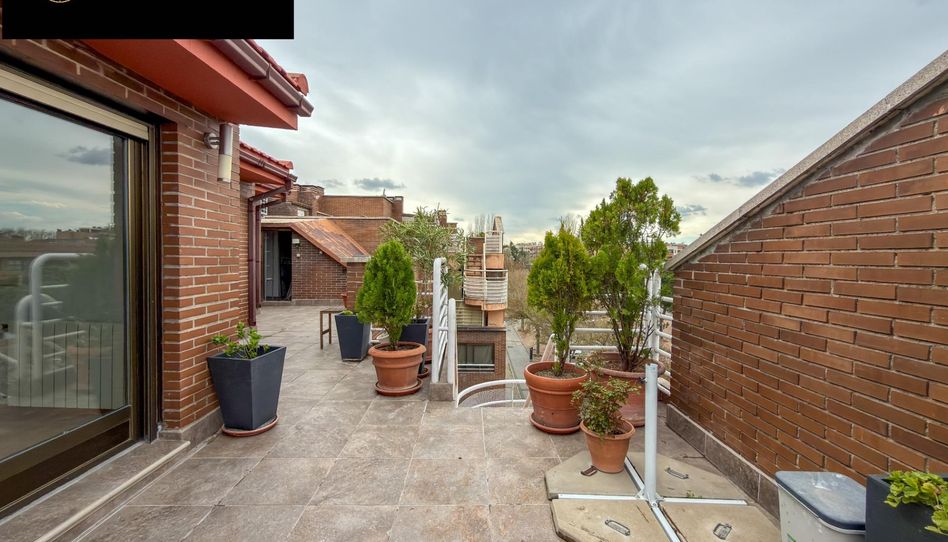 Ático de alquiler en Europa, Avenida Europa - Imagen 2