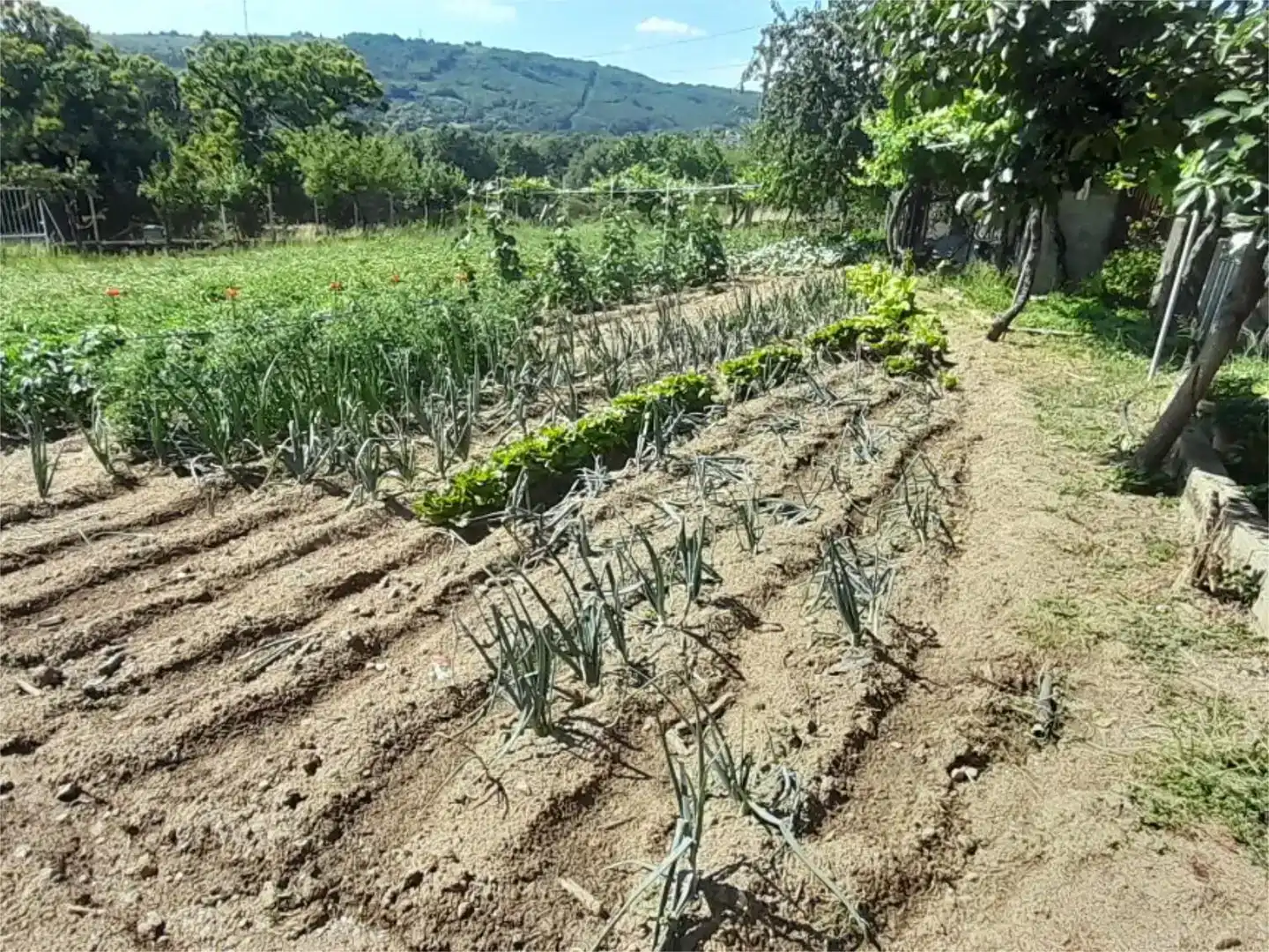 Jardín de Piso en venta en Viana do Bolo con Jardín privado, Amueblado y Balcón