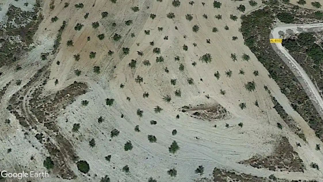 Terrain rustique à vendre à Huércal-Overa, imagen 3