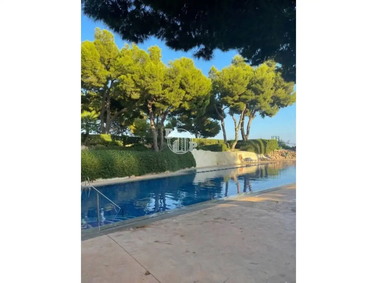 Schwimmbecken von Wohnung zur Miete in Benidorm mit Gemeinschaftspool