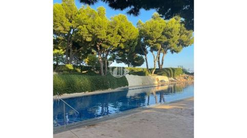 Foto 4 von Wohnung zur Miete in Avenida Uruguay, Playa Poniente, Benidorm