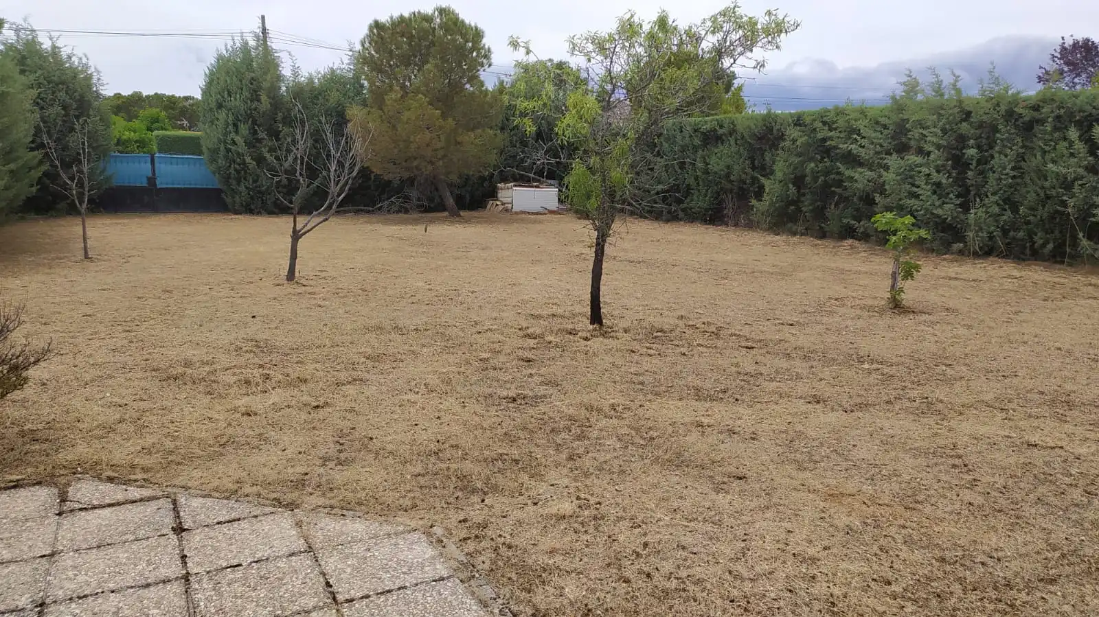 Residential land for sale in Calle Río Guadiela, imagen 7
