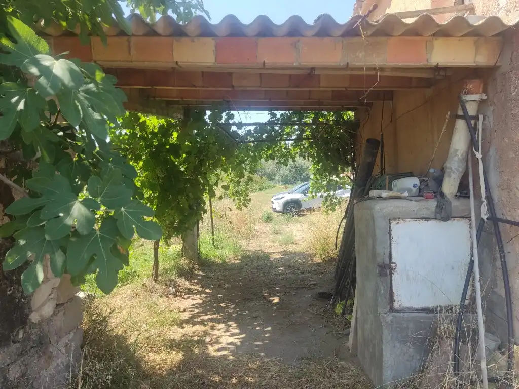 Rural land for sale in Ascó, imagen 5