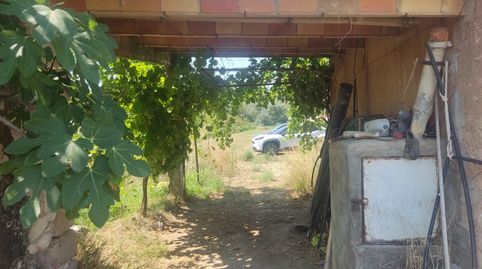Maset amb llum i aigua a L’illa d’Ascó, immagine 5