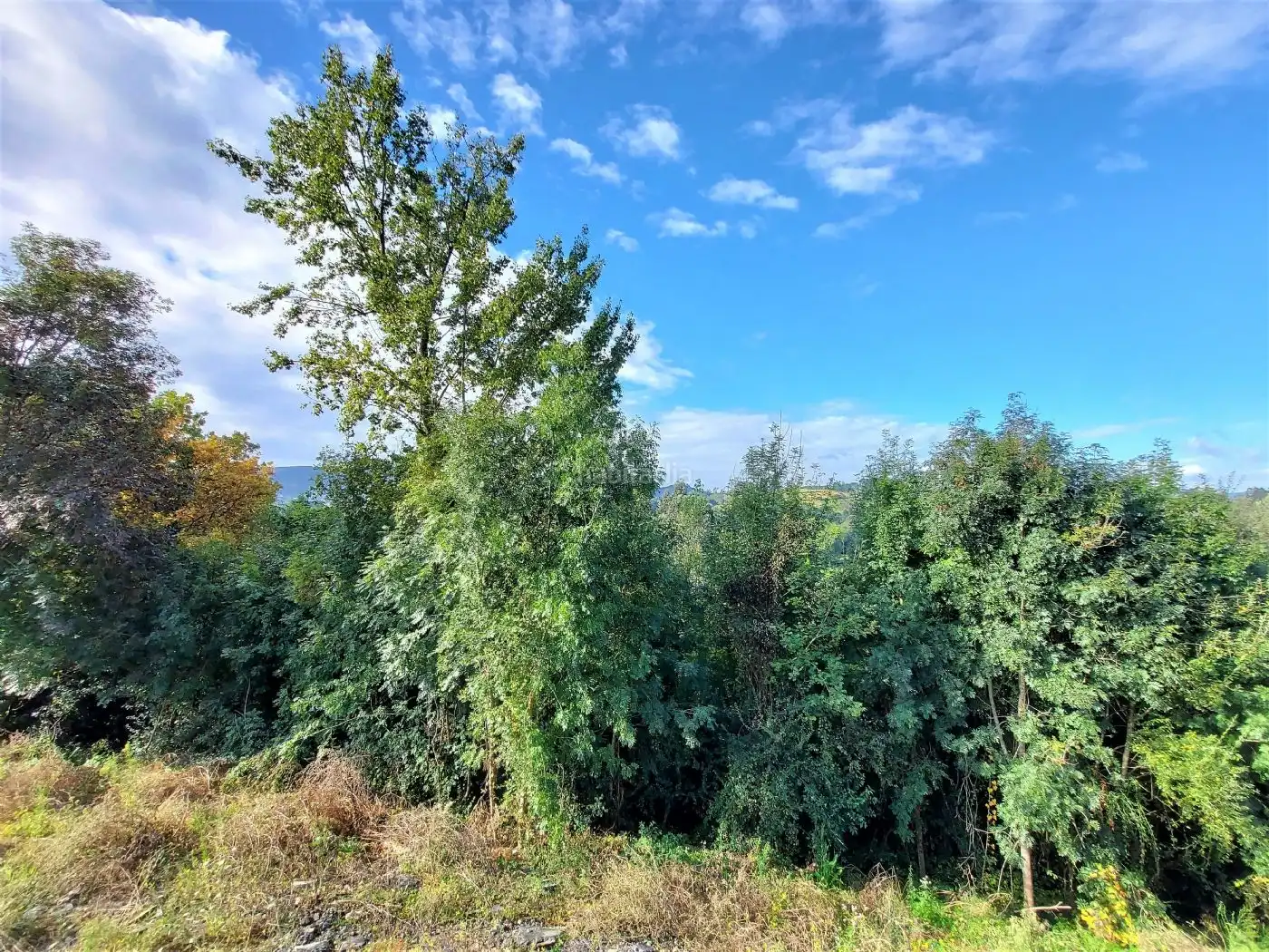 Terreny residencial en venda a BI-3102 33, imagen 10