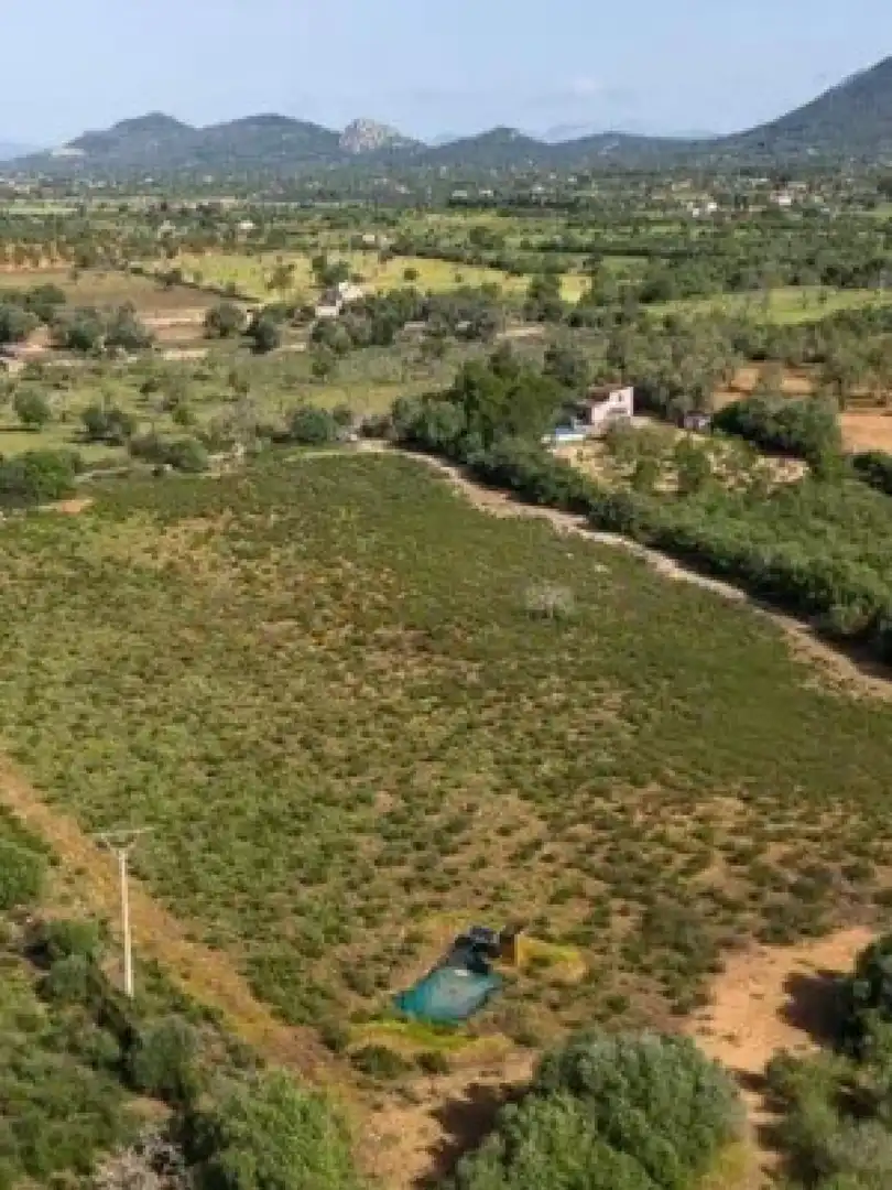 Terreny residencial en venda a Llucmajor - Camino d` Alacantí, imagen 13