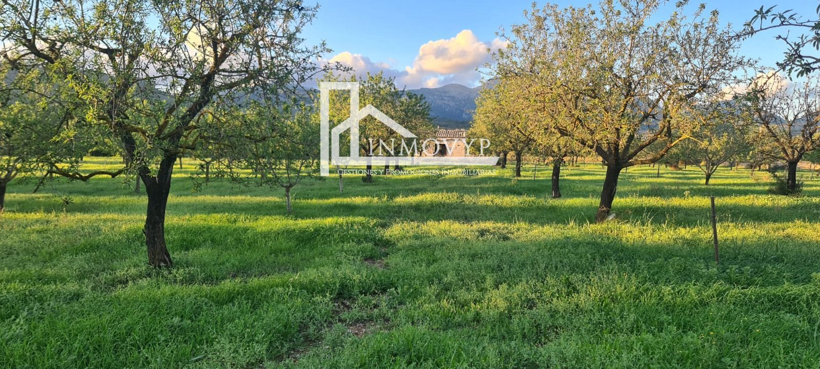 Country homes for sale in Inca