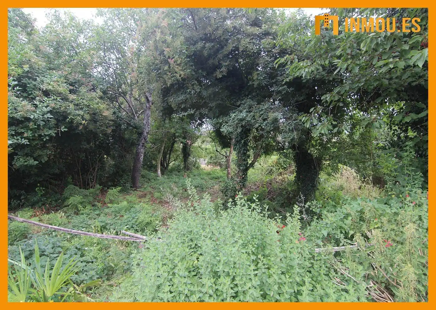 Finca rústica en venta en A Bola 