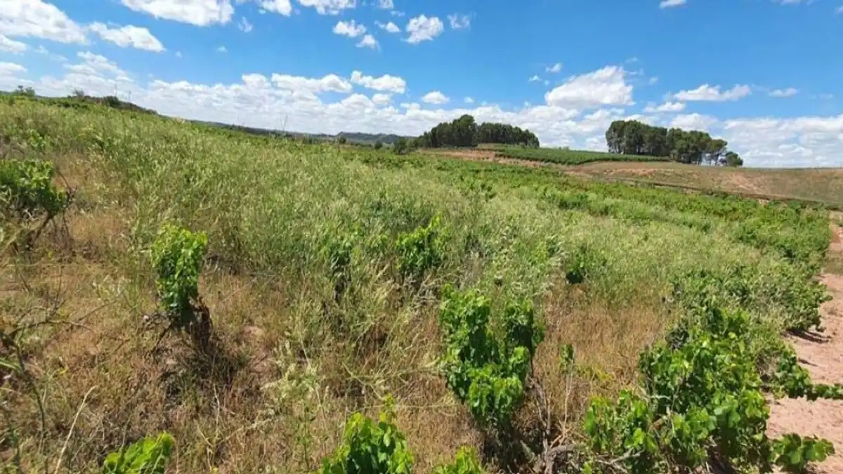 Residencial en venda en Azofra