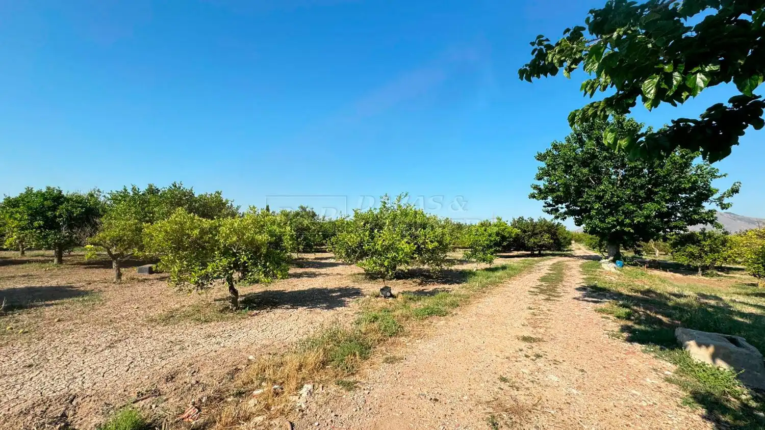 Finca rústica en venda en Redován