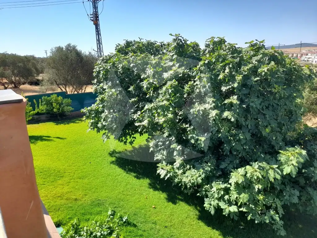 Casa o xalet en venda a Instituto Municipal de la Juventud, Nuevo Cáceres