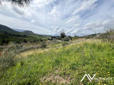 Terreno rustico in vendita a Diseminado Poligono 26 137