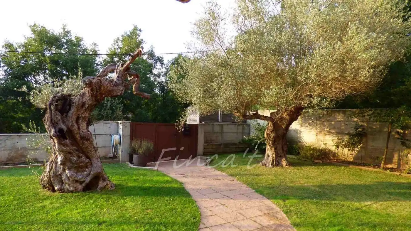 Jardí de Casa o xalet en venda en Moià amb Aire condicionat, Calefacció i Terrassa