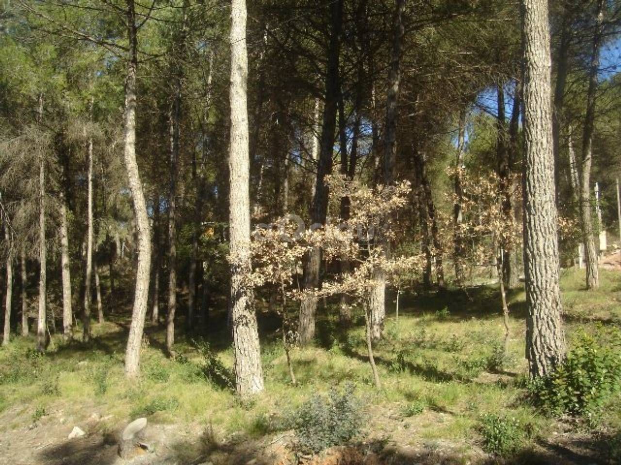 Industrial land for sale in Aiguafreda