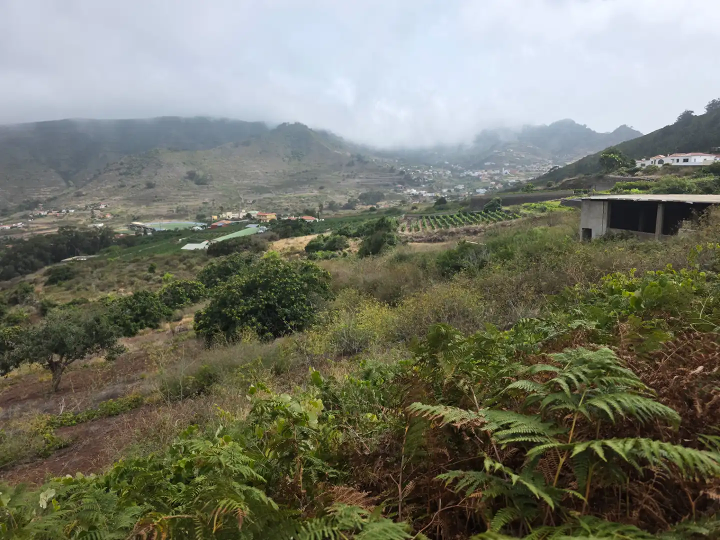 Rural land for sale in Camino las Peñuelas 11, imagen 16