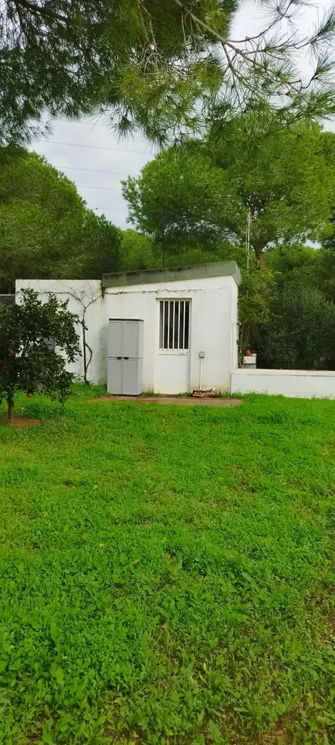 Jardín de Casa o chalet en venta en Puerto Real