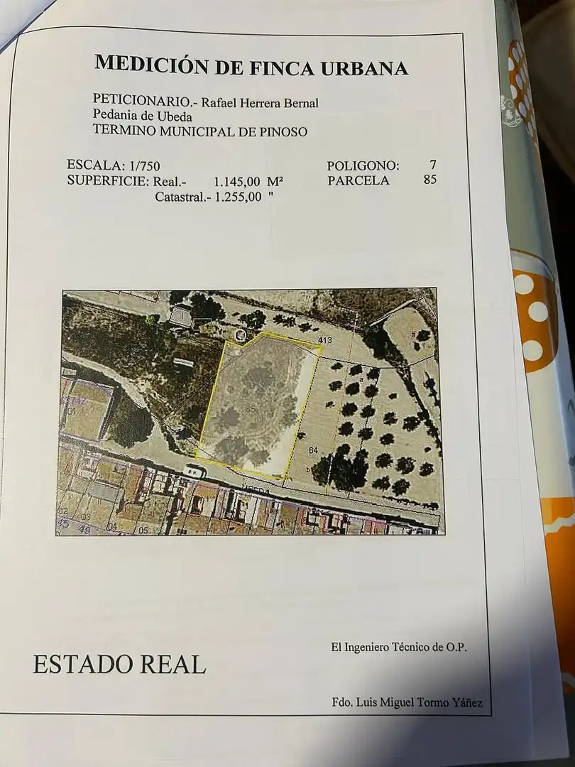 Terreno rústico en venta en El Pinós / Pinoso, imagen 17