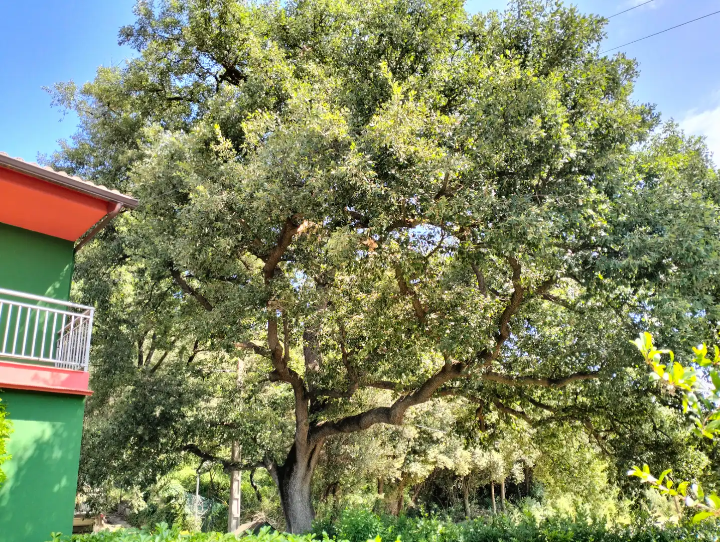 Vista exterior de Casa o xalet en venda en Cervià de Ter amb Jardí privat, Terrassa i Balcó