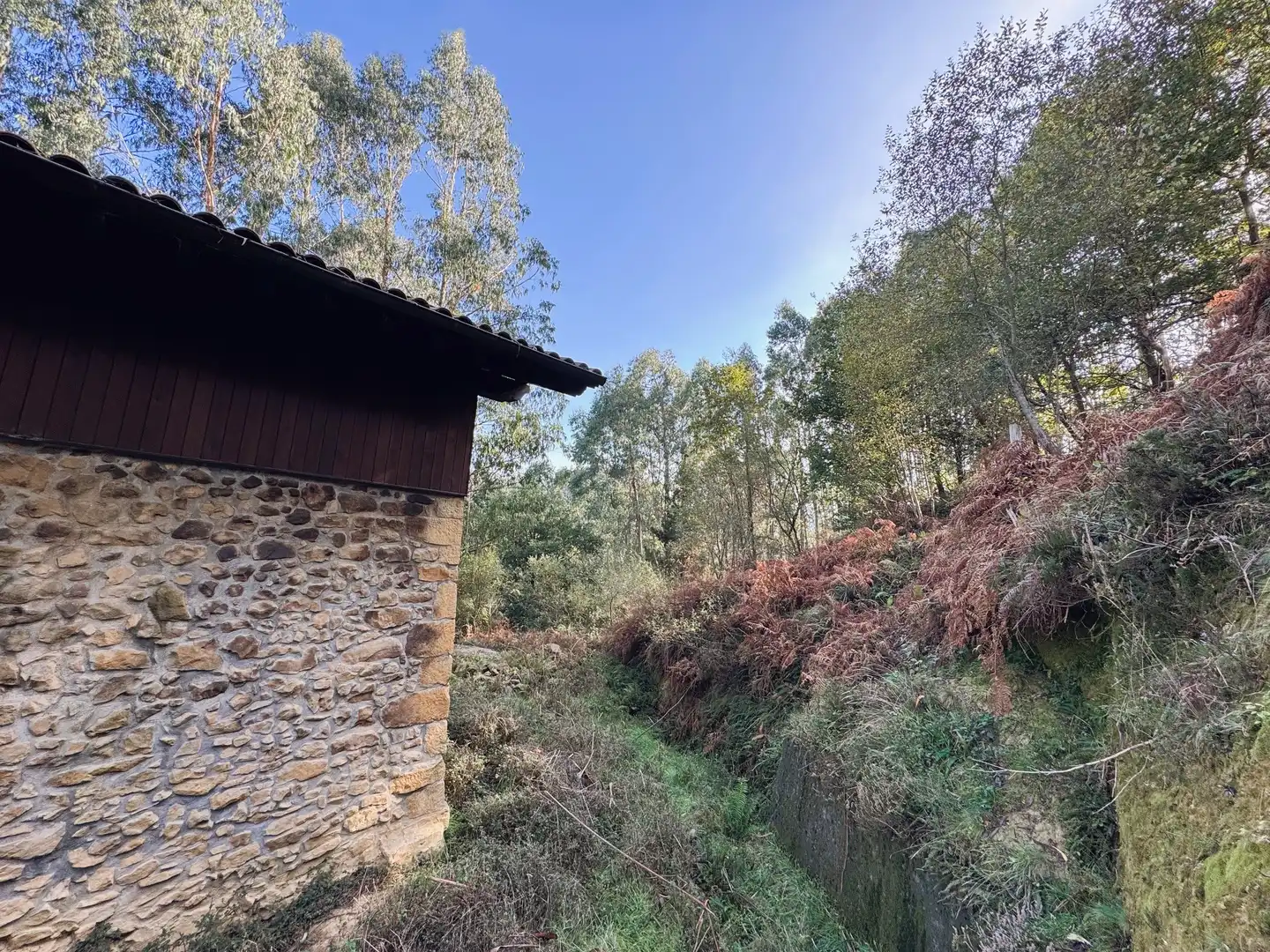 Vista exterior de Finca rústica en venta en Muxika