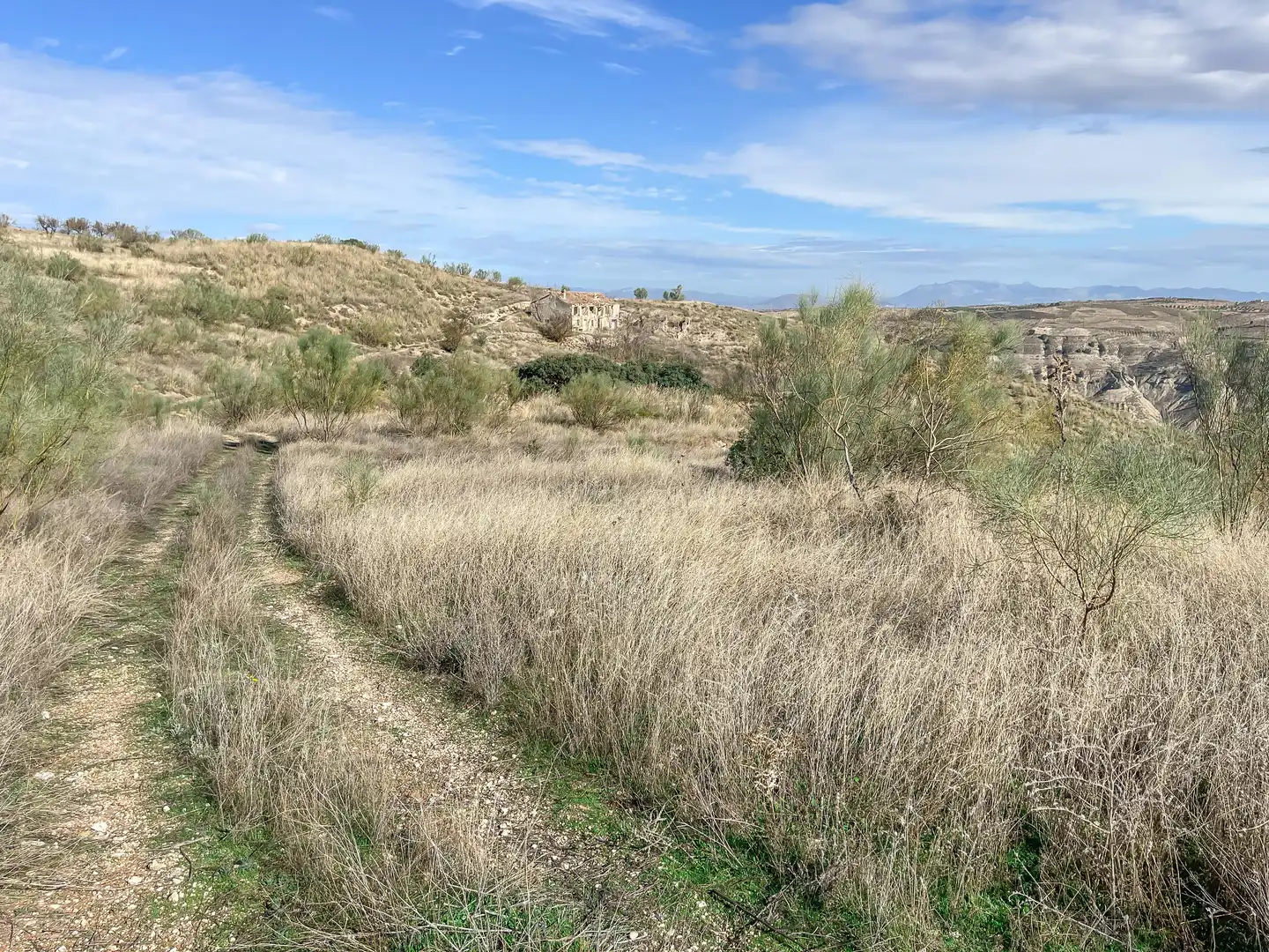 Grundstücke zum Verkauf in Alhama de Granada