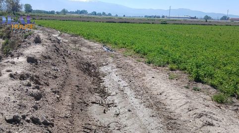 Foto 5 de Residencial en venta en Polígono Complejo Mercagranada, Angustias - Chana - Encina, Granada Capital